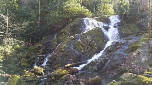 A serene waterfall cascading over moss-covered rocks, surrounded by lush greenery and trees.
