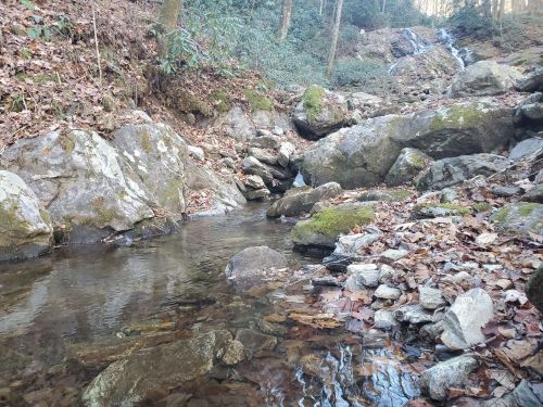 A serene stream flows through rocky terrain, surrounded by trees and fallen leaves, with a small waterfall in the background.