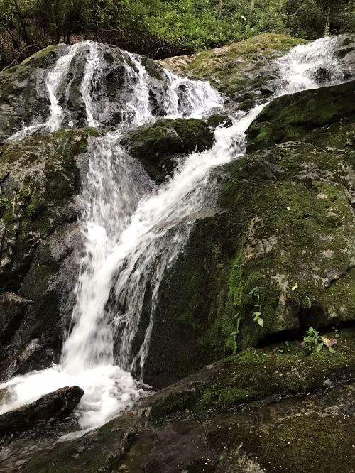 A serene waterfall cascading over moss-covered rocks in a lush, green forest.