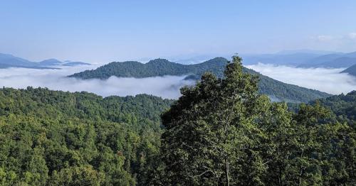 A scenic view of lush green mountains with a blanket of fog covering the valleys below under a clear blue sky.