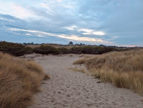 A sandy path leads through tall grass towards a cloudy sky and distant hills at sunset.