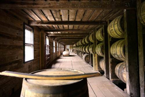 Interior of a rustic wooden storage room with rows of barrels lining the walls and a wooden table in the foreground.