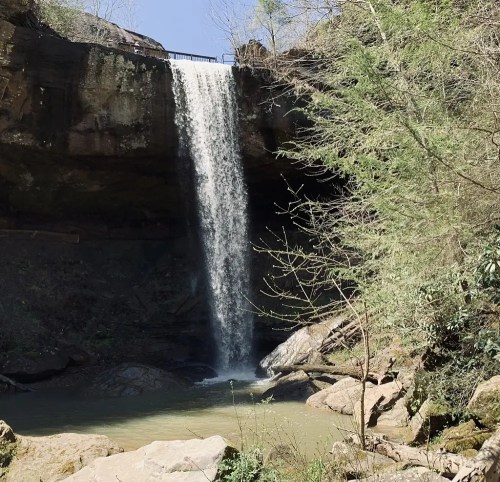 A waterfall cascades down rocky cliffs into a serene pool, surrounded by lush greenery and clear blue skies.