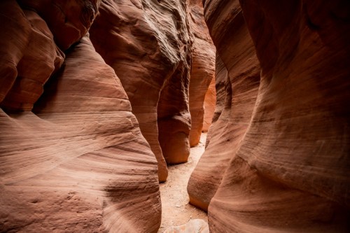 Narrow canyon with smooth, reddish rock formations and a sandy path winding through the center.
