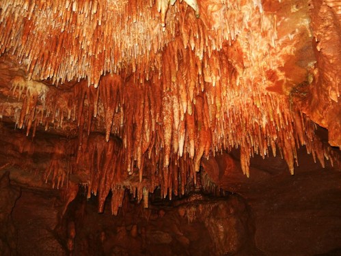 Stalactites hang from a cave ceiling, showcasing vibrant orange and brown hues in a natural underground setting.