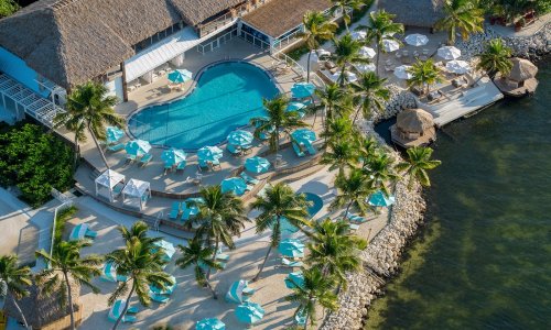 Aerial view of a tropical resort with a pool, palm trees, and beachside cabanas along the water's edge.