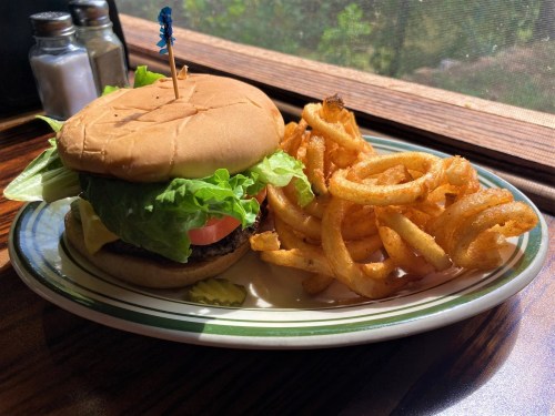 A juicy hamburger with lettuce and tomato, served with a side of curly fries on a plate by a window.
