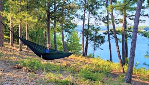 A person relaxes in a hammock between trees by a serene lake, surrounded by lush greenery and sunlight.