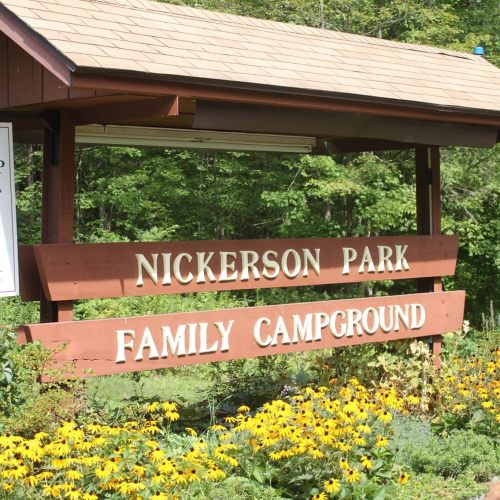 Sign for Nickerson Park Family Campground surrounded by yellow flowers and greenery.