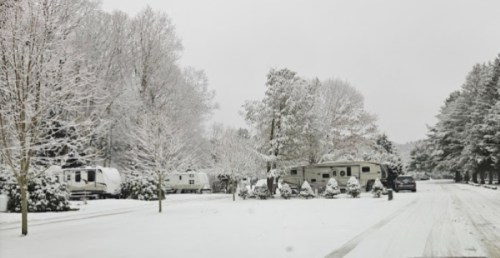 A snowy street lined with RVs and trees, creating a serene winter landscape.
