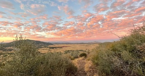 A scenic view of a landscape at sunset, with vibrant clouds and rolling hills framed by shrubs.