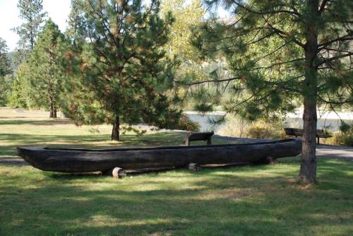 A wooden canoe rests on grass near a calm lake, surrounded by tall pine trees.