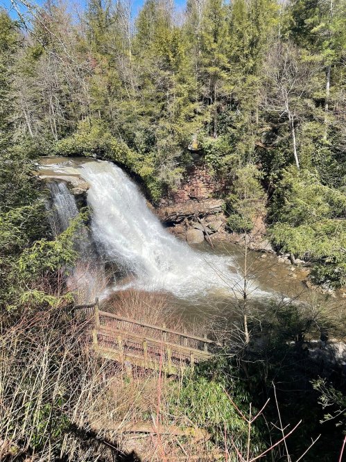 A cascading waterfall surrounded by lush greenery and trees, with a wooden railing in the foreground.