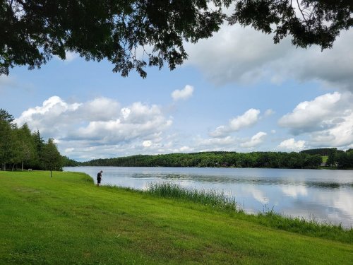 A serene lakeside scene with a person standing on the grassy shore, surrounded by trees and fluffy clouds in the sky.