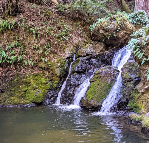 A serene waterfall cascades over moss-covered rocks into a calm pool, surrounded by lush greenery.