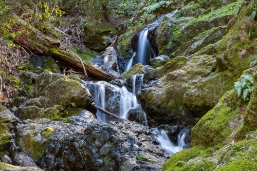 A serene waterfall cascading over moss-covered rocks in a lush, green forest.