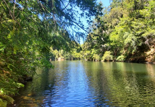 A serene river surrounded by lush greenery and trees under a clear blue sky.