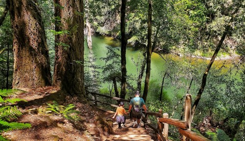 A person and a child walk down wooden steps beside a river, surrounded by lush green trees and foliage.