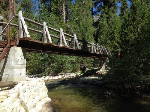 A wooden bridge spans a clear stream, surrounded by tall trees and lush greenery under a bright blue sky.