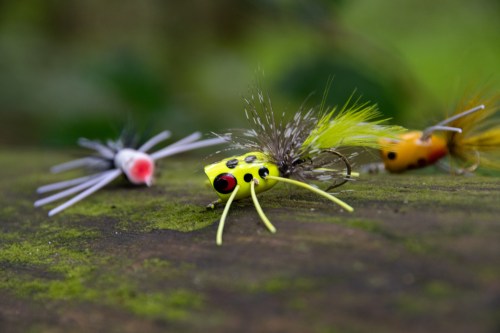 Three colorful fishing lures with various designs resting on a mossy surface in a natural setting.