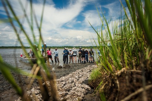 A group of people stands on a muddy shore, surrounded by tall grass, under a bright blue sky with scattered clouds.
