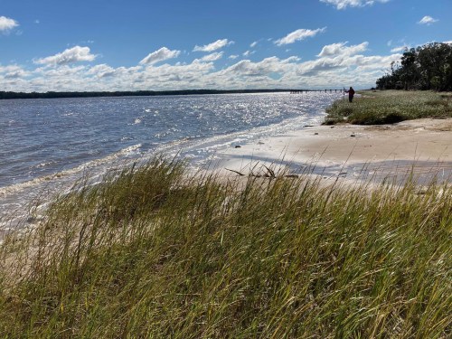 A serene beach scene with tall grass, gentle waves, and a person standing by the water under a blue sky with clouds.