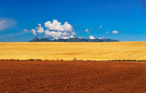 A vast landscape featuring golden fields under a blue sky with clouds, and distant mountains on the horizon.