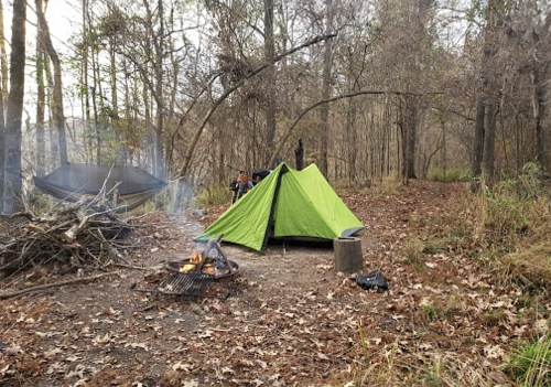 A green tent set up in a wooded area with a campfire and a hammock nearby, surrounded by fallen leaves.
