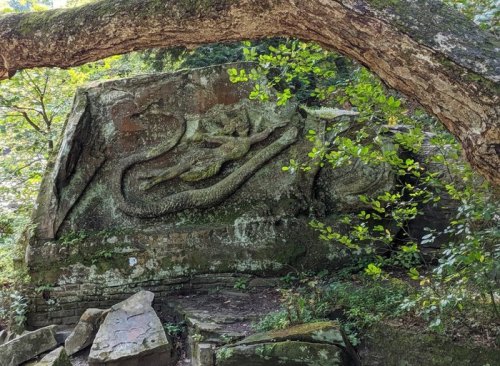 A carved stone featuring a dragon, partially obscured by tree branches and surrounded by greenery.