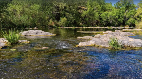 A serene river scene with clear water, smooth rocks, and lush green trees lining the banks under a blue sky.