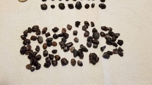A collection of dark, irregularly shaped stones arranged on a paper towel, with a coin for scale.