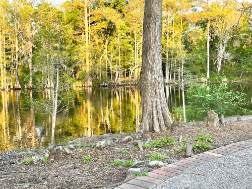 A serene lakeside scene with trees reflecting in the water, surrounded by greenery and a paved path.