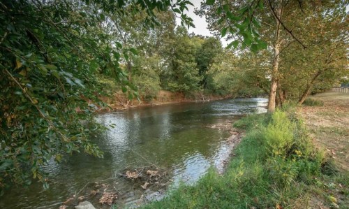 A serene riverbank surrounded by lush greenery and trees, reflecting calm waters under a clear sky.