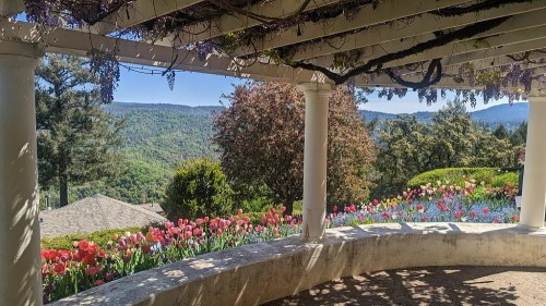 A scenic view from a pergola, featuring colorful tulips and lush green hills in the background.