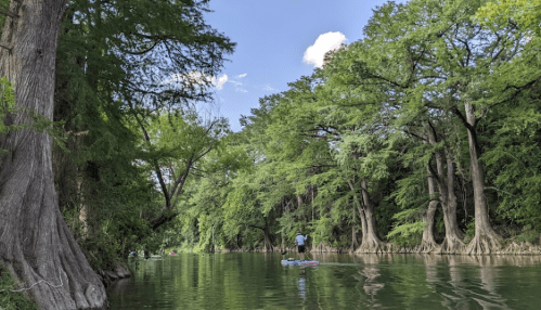 A serene river scene with lush green trees and a person paddleboarding on calm waters under a blue sky.