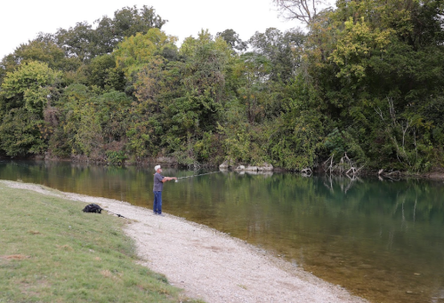 A person fishing by a calm riverbank surrounded by lush greenery and trees.