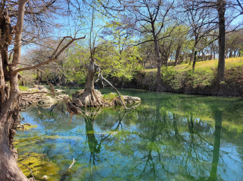 A serene river scene with clear water, surrounded by trees and lush greenery under a bright blue sky.
