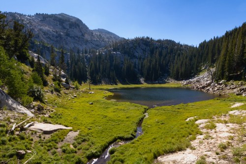 A serene mountain landscape featuring a clear lake surrounded by lush green grass and tall pine trees under a blue sky.