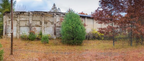 Abandoned building surrounded by overgrown grass and trees, with a cloudy sky in the background.