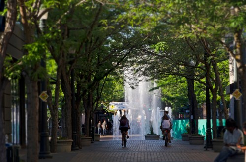 Two cyclists ride through a tree-lined path with a fountain in the background on a sunny day.