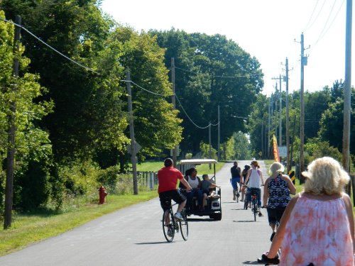 A group of people riding bicycles and a golf cart on a sunny road lined with trees and power lines.