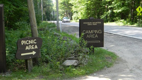 Signposts for a picnic area and camping area at Bradbury Mountain State Park, surrounded by trees and a road.
