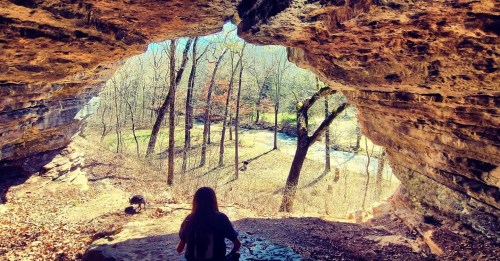 A person sits in a cave, looking out at a forested landscape with trees and a stream in the distance.