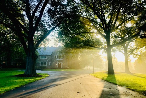 A sunlit path winds through trees, leading to a stone building, with soft morning light filtering through the leaves.
