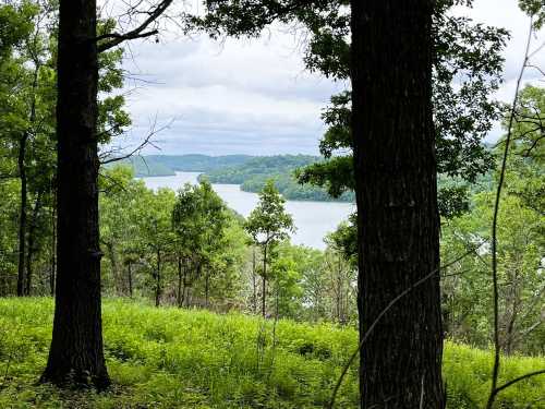 A serene view of a lake surrounded by lush green trees and hills under a cloudy sky.