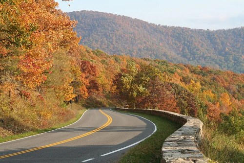 A winding road through vibrant autumn foliage with mountains in the background.