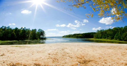 A sunny landscape featuring a calm lake surrounded by trees and a sandy shore under a clear blue sky.