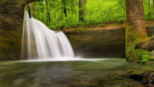 A serene waterfall cascades into a tranquil pool, surrounded by lush green trees and mossy rocks.