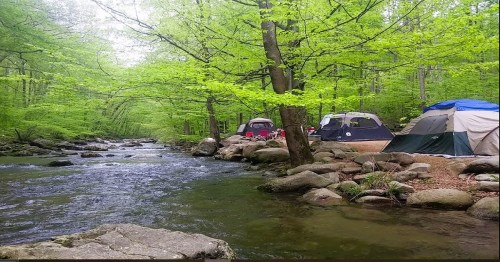 A serene campsite by a flowing river, surrounded by lush green trees and tents nestled among the rocks.