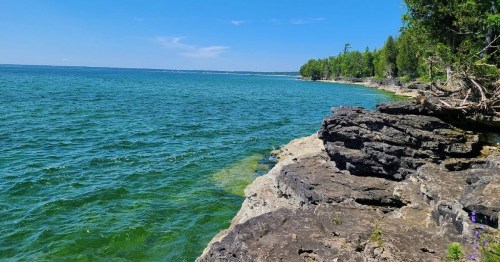 A rocky shoreline with clear blue water and lush green trees under a bright blue sky.